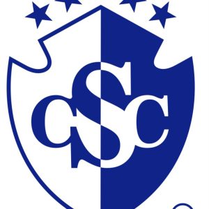 Sticker Escudo